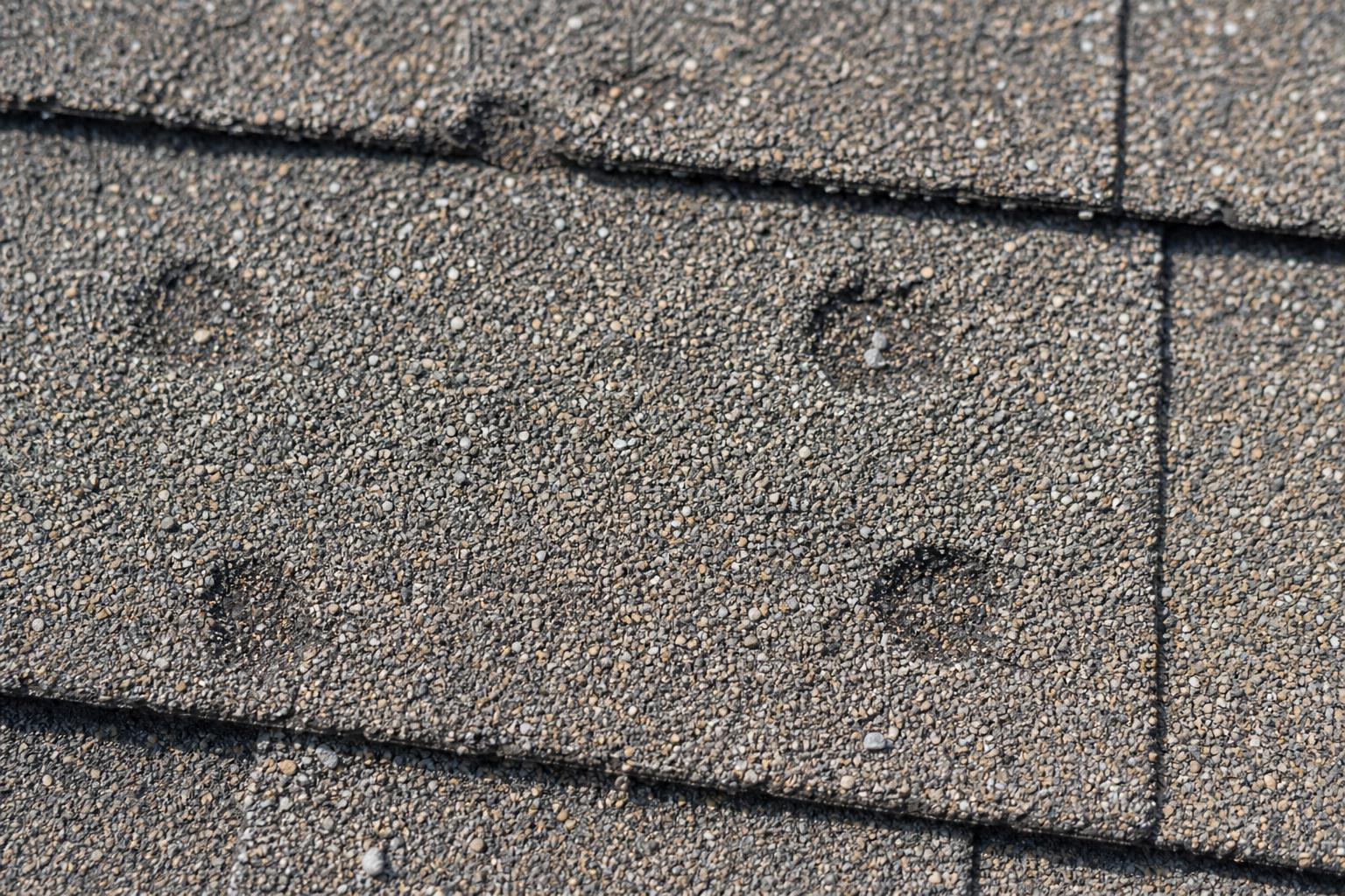 Hail Damage on Your Nashville Roof: What to Do in the First 48 Hours